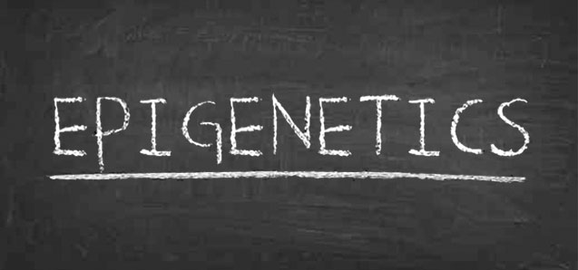 What is epigenetics?