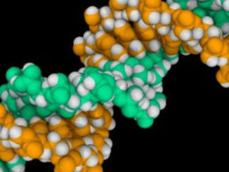 histone modification