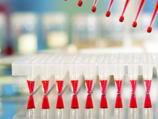 whole-genome bisulfite sequencing data cpg islands