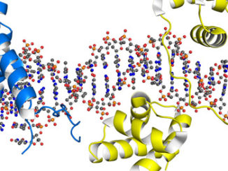 transcription factors LITEs epigenetic mechanism