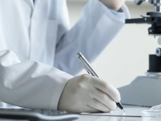 DNA methylation individual cell nuclei and chromosomes epigenetics