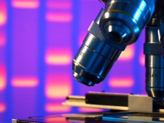 TALE-TET1 demethylation of specific CpGs