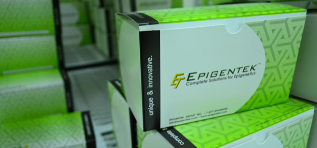 “Post-Bisulfite” and Higher Sensitivity DNA Library Preparation Technology for Epigenetics-Targeted Next Generation Sequencing Analysis