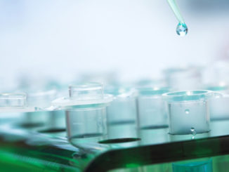 micro rna TET DNA Demethylation enzyme epigenetics