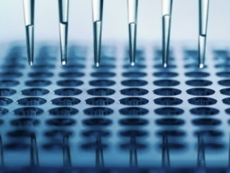 DNA Methylation State of Multiple Genomic Loci in Single Cells