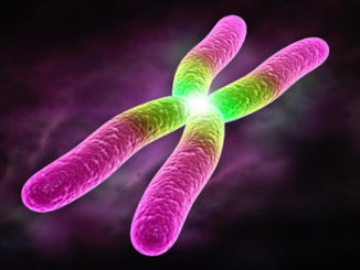 chromatin assay epigenetics
