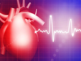 dna methylation epigenetic changes blood vessels heart arteries