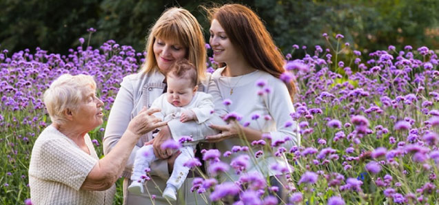 Epigenetic Transfer of Nutrition ‘Memory’ Ends before Great-Grandchildren