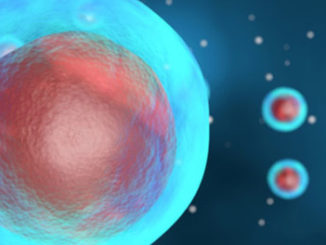 New Single-Cell Bisulfite Sequencing Technique Boosts Epigenetic Research