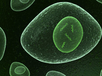 histone modification jumping enzymes epigenetic histones