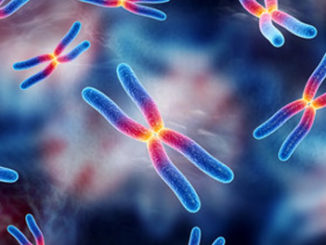 epigenetic inheritance histone methylation