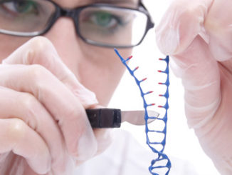 crispr cas9 epigenetic antibody gene editing