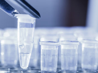 dna methylation analysis tool epigentek