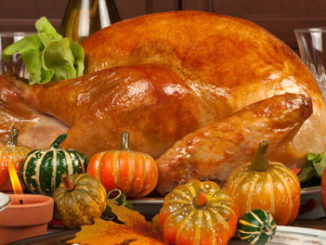 dna methylation acetylation deacetylation epigenetic mechanisms of thanksgiving feast
