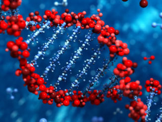 Reduced Representation Bisulfite Sequencing and Post-Bisulfite DNA Library Preparation