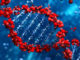 Reduced Representation Bisulfite Sequencing and Post-Bisulfite DNA Library Preparation
