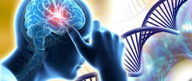 DNA-Methylation-Fear- Anger