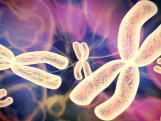 X Chromosome Inactivation and Epigenetics