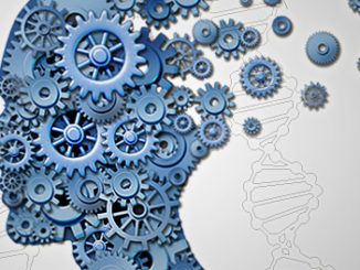 An Epigenetic Link Between Memory Loss and Epilepsy