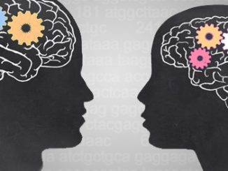 DNA Methyltransferase (DNMT) Control the Brain’s ‘Gender’?