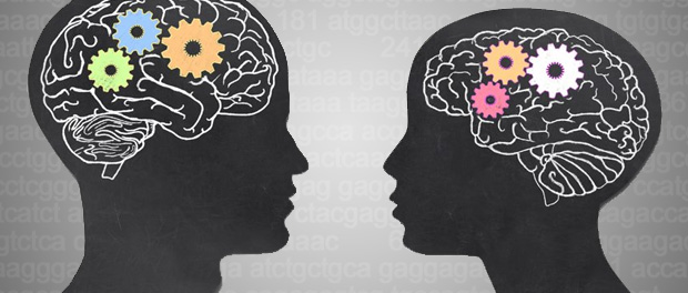 DNA methyltransferase DNMT and Brain Gender DNA Methyltransferase (DNMT) Control the Brain’s ‘Gender’?
