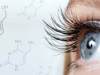 5-hmC DNA Hydroxymethylation Affects Retinal Development