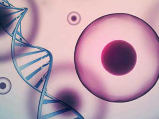 Chromatin Immunoprecipitation Study Uncovers Stem Cells' Ability to Form into Pancreatic Cells and Not Liver Cells