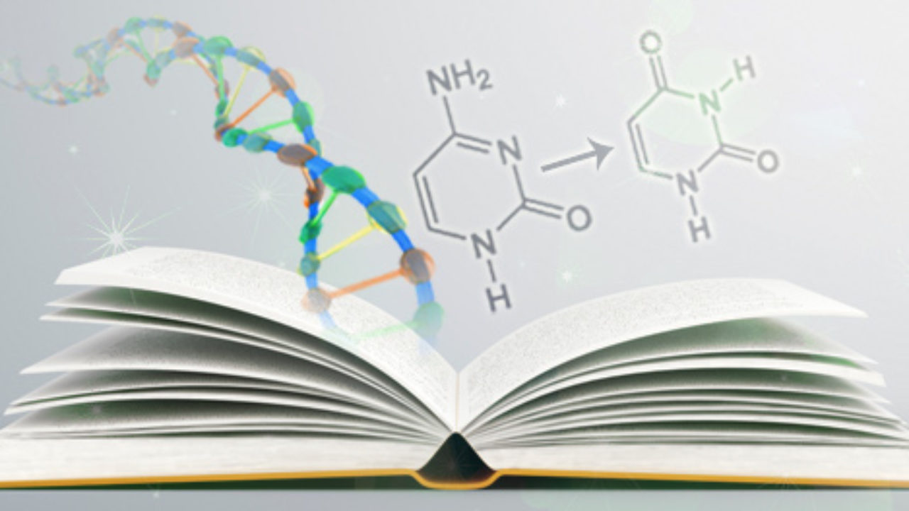 whatisepigenetics com