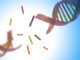 DNA damage and histone modifications on DNA