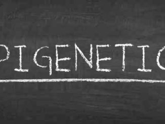 A Review of the Epigenetics Course: Epigenetic Control of Gene Expression