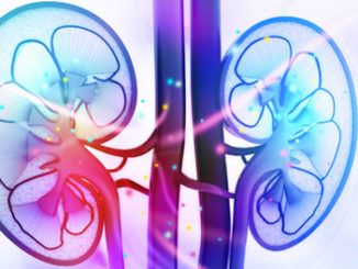 HDAC inhibitors reduces kidney damage from cancer chemotherapy drug