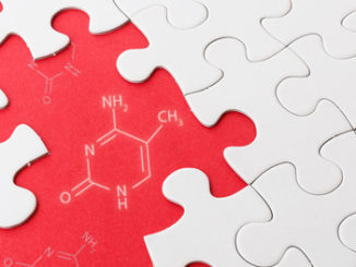 Epigenetic Modifications and Memory