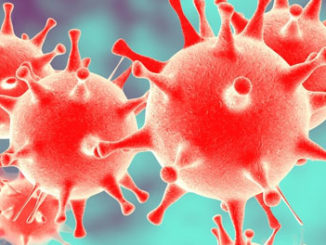 Herpes Simplex Virus is Impacted by Histone Modifications Methylation and Phosphorylation