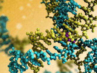 Chromatin immunoprecipitation (ChIP) and Histone Modifications in Planarian Stem Cell Differentiation