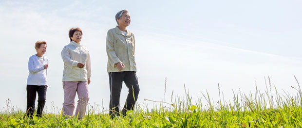 histone-modifications-aging histone modifications and aging