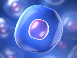 New Method Simultaneously Profiles Methylome and Transcriptome in the Same Single Cell