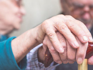 epigenetics, aging, and memory in the elderly