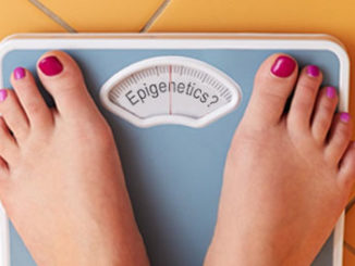 phthalates influence epigenetics and could tip the scales towards obesity