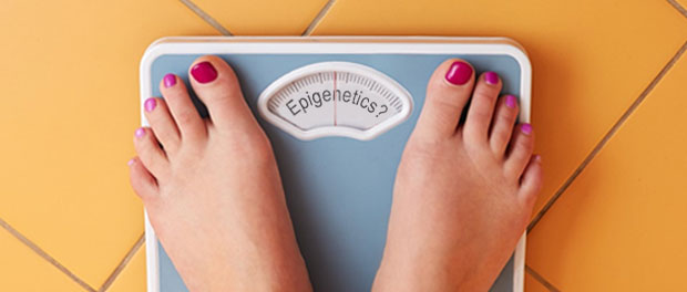 epigenetics-obesity-plastic phthalates influence epigenetics and could tip the scales towards obesity