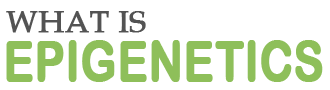 What is Epigenetics?