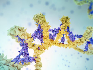 circulating cell free DNA