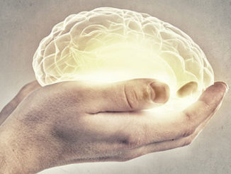 rna methylation, m6a and memory