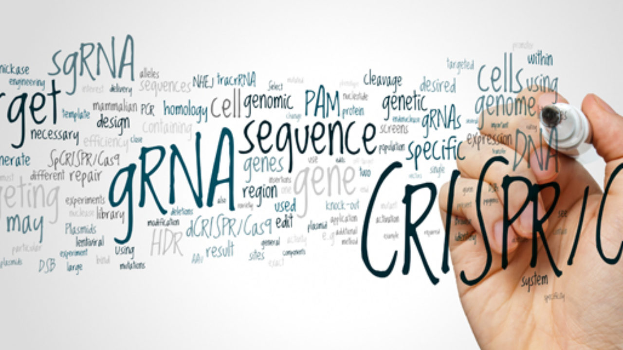 whatisepigenetics com