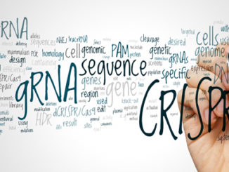 Editing DNA methylation using CRISPR/Cas9