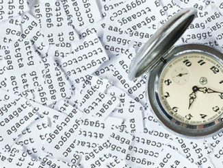 DNA methylation and epigenetic clock