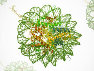 Eukaryotic Writers, Erasers and Readers protein of Histone Acetylation and Methylation system Database