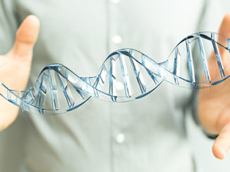 CRISPR Cas9 gene editing system