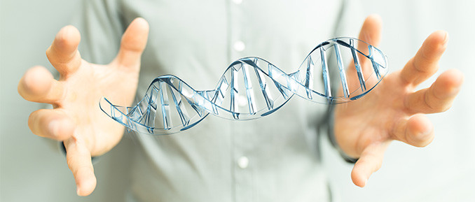 CRISPR-cas9-system CRISPR Cas9 gene editing system