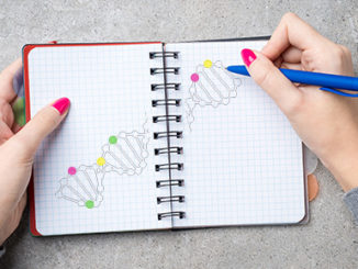 Epigenetic Marks on DNA Determine Left or Right Handedness