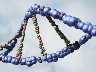dna damage RNA methylation